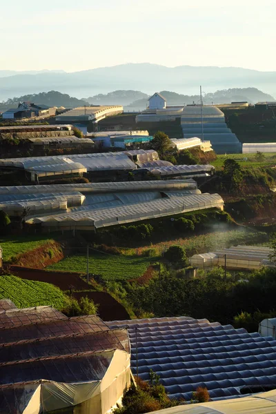 Сельскохозяйственная Территория Сельской Местности Лат Вьетнам Утром Холмами Горной Местностью — стоковое фото