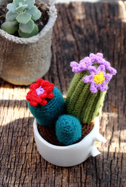 Handmade product for decorate, cacti, cactus flower, ornament pl — Stock Photo, Image