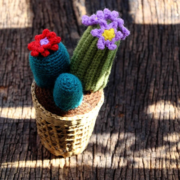 Handmade product for decorate, cacti, cactus flower, ornament pl — Stock Photo, Image