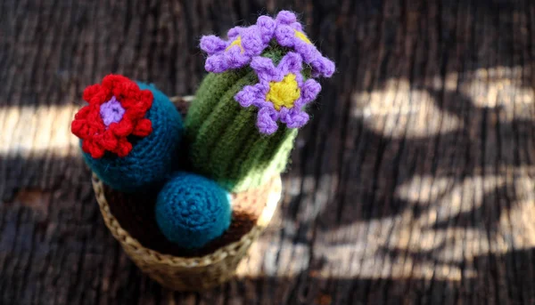 Producto hecho a mano para decorar, cactus, flor de cactus, adorno pl —  Fotos de Stock