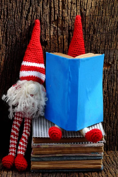Two red woolen gnome busy with  notebook, cute Christmas ornamen — Stock Photo, Image