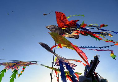 Many colorful kites at countryside of Saigon for outdoor activit