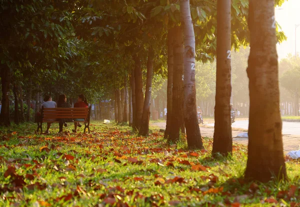 Early morning in park, three woman sit on bench, talk together i — ストック写真