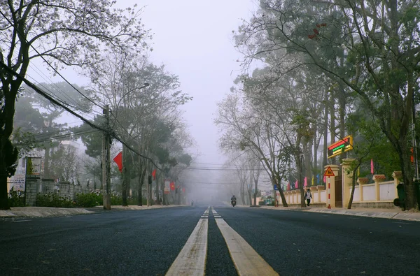 Landscape of Da Lat city, Viet nam in early morning, row white f — Stock Photo, Image