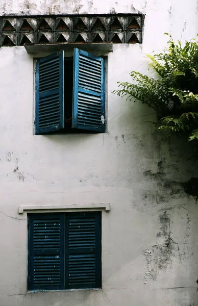 Vista Casa Envelhecida Exterior Com Janela Madeira Velha Planta Samambaia — Fotografia de Stock