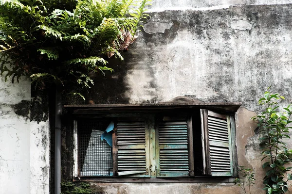 Vue Extérieur Maison Âgée Avec Vieille Fenêtre Bois Plante Fougère — Photo