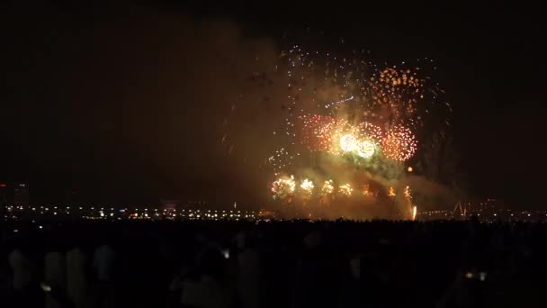 Feuerwerk Bei Neujahrsfeier — Stockvideo