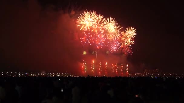 Feuerwerk Bei Neujahrsfeier — Stockvideo