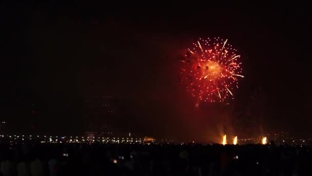 Incendies Sur Célébration Nouvel — Video