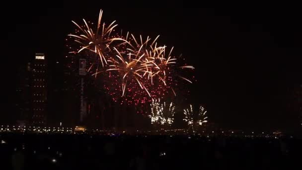 Feuerwerk Bei Neujahrsfeier — Stockvideo