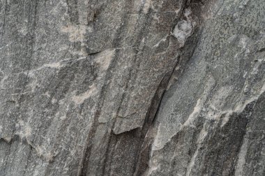 Altın cevheri dokusu yakın plan. Kuvars, mika, feldspat, klorit, garnet, karbonat, sülfür ve altın içerir. Sibirya doğal kaynakları mevduatı. Mineral taş yüzeyi soyut arkaplan.