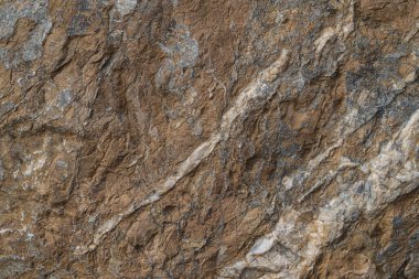 Altın cevheri dokusu yakın plan. Kuvars, mika, feldspat, klorit, garnet, karbonat, sülfür, altın içerir.