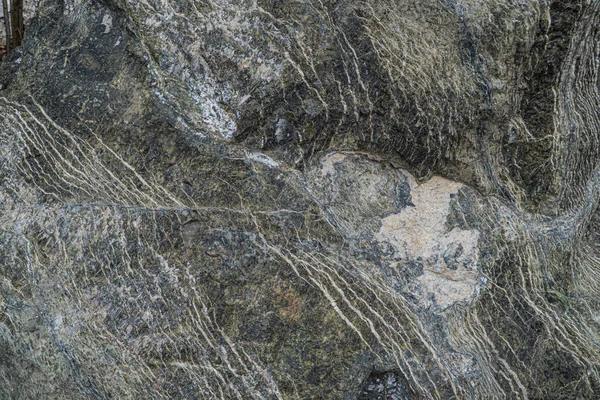 Serpentinite with Chrysotile asbestos ore texture. Contains serpentine, Chrysotile asbestos, Magnetite, Lysarditis. — Stock Photo, Image