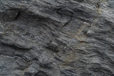 Altın cevheri dokusu yakın plan. Kuvars, feldspat, klorit, garnet, karbonat, sülfür ve altın içerir. Sibirya doğal kaynakları mevduatı. Mineral taş yüzeyi soyut arkaplan.