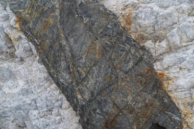 Altın cevheri dokusu yakın plan. Kuvars, mika, feldspat, klorit, garnet, karbonat, sülfür ve altın içerir. Sibirya doğal kaynakları mevduatı. Mineral taş yüzeyi soyut arkaplan.