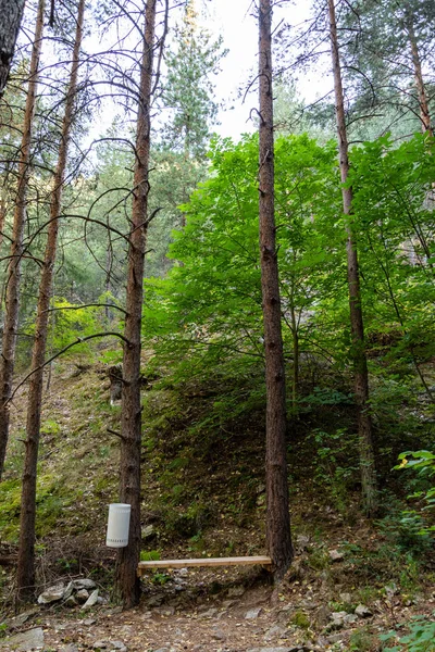 Resting place in the forest — Stock Photo, Image