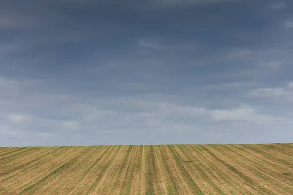 Empty Field Blue Sky — Stock Photo, Image