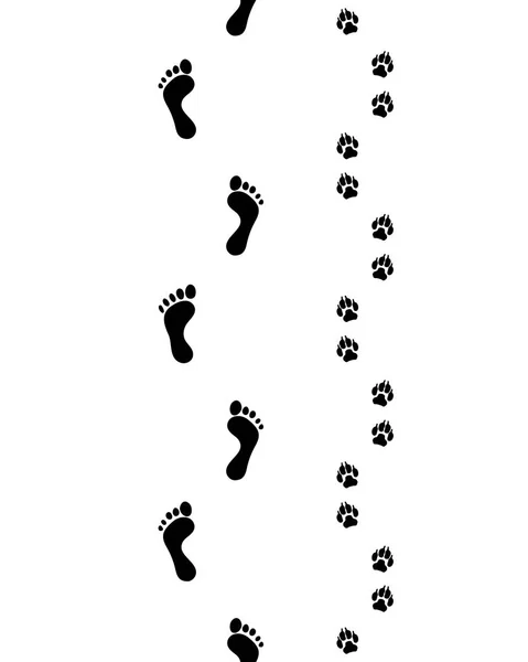 脚和爪子 — 图库矢量图片