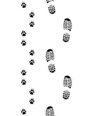 Ayakkabı ve pençeleri