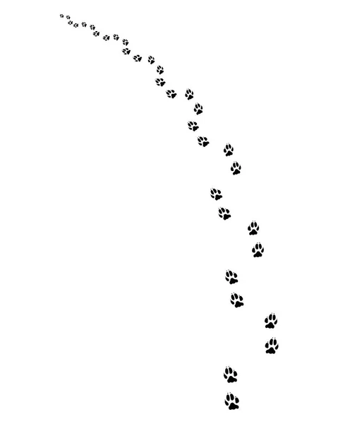 犬の足跡 — ストックベクタ