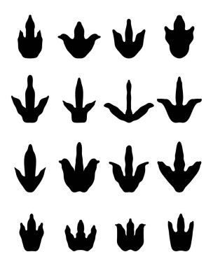 dinazorların ayak izleri 