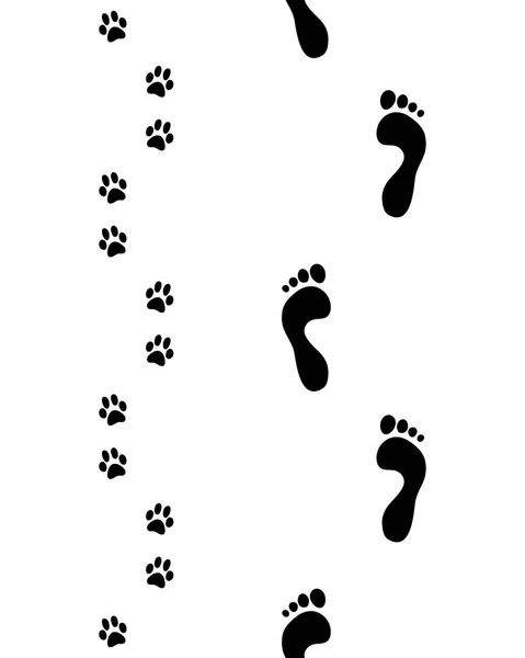 Shoes and paws — Stock Vector