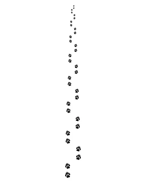 Sentier noir de chien — Image vectorielle