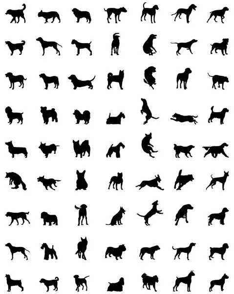 Köpeklerin Silhouettes — Stok Vektör