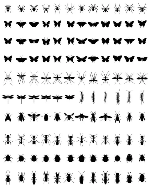 Zwarte Silhouetten Van Verschillende Insecten Een Witte Achtergrond — Stockvector