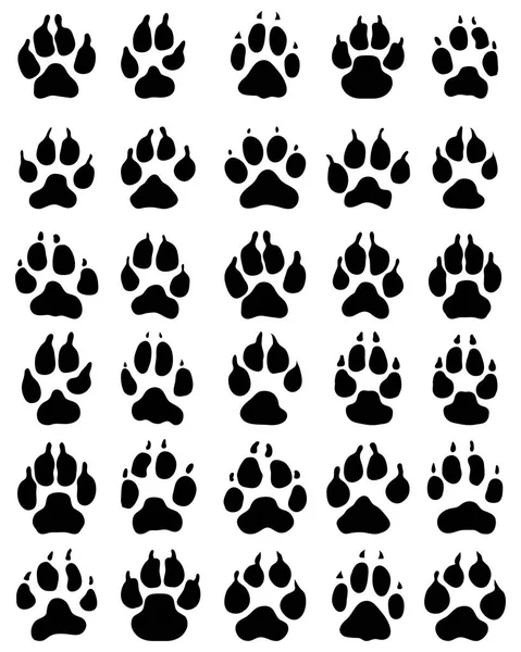 Black Print Paw Dogs White Background — Stock Vector