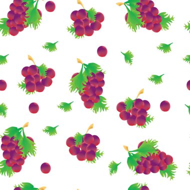 İzole edilmiş beyaz arka plan. Üzümün mor rengi. Tatlı tatlı çizimi vektör çizimi. Yeşil yapraklar. Paketler, sağlıklı yiyecekler, doğal vitaminler, lifler.