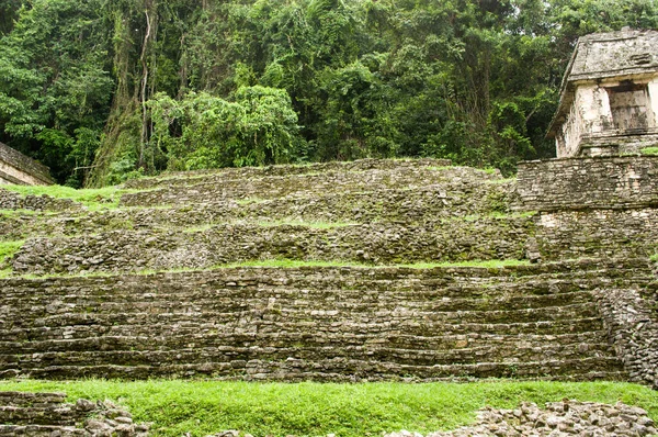 Palenque ormanındaki harabeler, — Stok fotoğraf