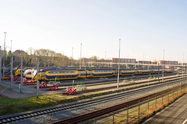 Treni Parcheggiati Alla Stazione Nijmengen Paesi Bassi — Foto Stock
