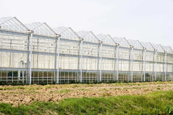 Exterior Greenhouse Made Glass — Stock Photo, Image