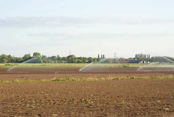 Bewässerung Des Feldes Mit Mehreren Sprinklern — Stockfoto