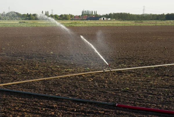 Het Veld Besproeien Met Een Sproeier — Stockfoto