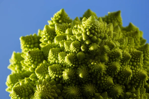 Fresh green cabbage — Stock Photo, Image