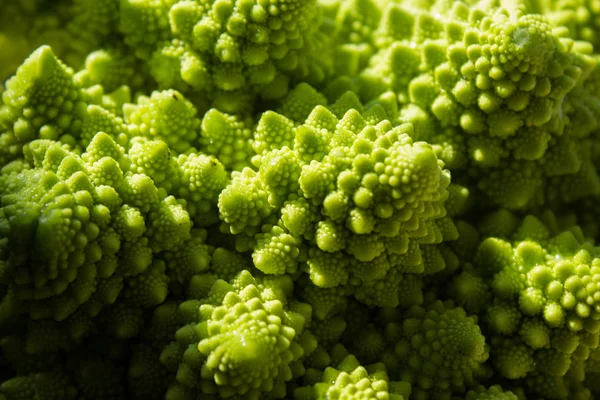 Fresh green cabbage — Stock Photo, Image