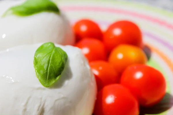 Domates ve mozzarella ile tipik İtalyan yaz yemek — Stok fotoğraf