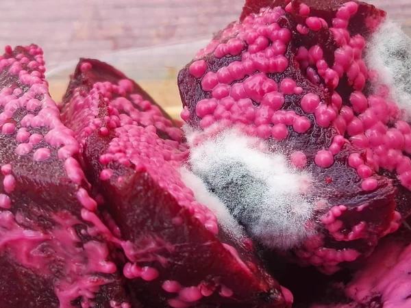 The beet mold has a bright pink color with white-dot growths — Stock Photo, Image