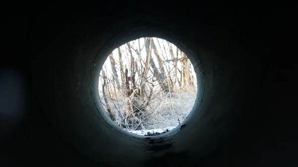 trees and grass covered with snow, like light at the end of the tunnel.  darkness and light