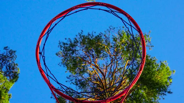 Uzun yeşil çam, mavi gökyüzü ve bulutlardan oluşan arka planda kırmızı yuvarlak basketbol sepeti..