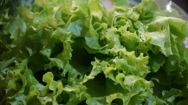 Yeşil salatanın güzel fotoğrafı.