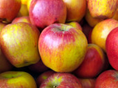 červené a žluté čerstvé sladké jablko dát na ulici ovoce shop