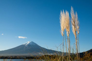 Fuji Dağı manzaralı Kawaguchi Gölü, Yamanashi Bölgesi, Japonya. Fuji Dağı Japonya 'nın en uzun dağıdır ve hem Japon hem de yabancı turistler arasında popülerdir..