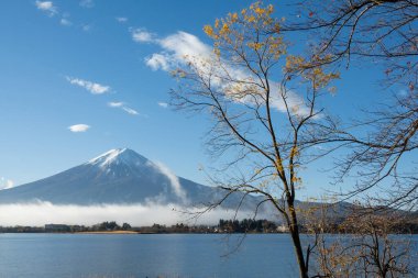 Fuji Dağı manzaralı Kawaguchi Gölü, Yamanashi Bölgesi, Japonya. Fuji Dağı Japonya 'nın en uzun dağıdır ve hem Japon hem de yabancı turistler arasında popülerdir..