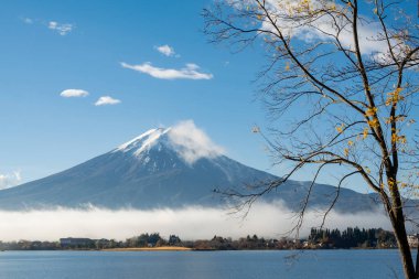 Fuji Dağı manzaralı Kawaguchi Gölü, Yamanashi Bölgesi, Japonya. Fuji Dağı Japonya 'nın en uzun dağıdır ve hem Japon hem de yabancı turistler arasında popülerdir..