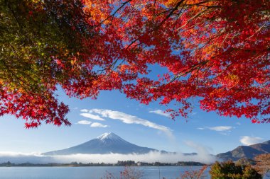 Renkli Sonbahar sezonu ve Fuji Dağı Kawaguchiko Gölü 'nde kırmızı yapraklı Japonya' nın en iyi yerlerinden biridir.