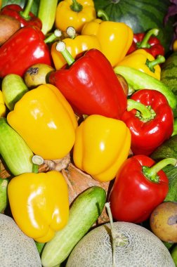 kırmızı, yeşil ve sarı tatlı biber