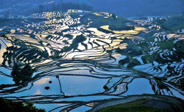 Yuanyang pirinç Teras Duo Yi Shu köyden, Yunnan Eyaleti, Çin